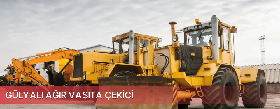 Gülyalı İlçemi Ağır Vasıta Çekici