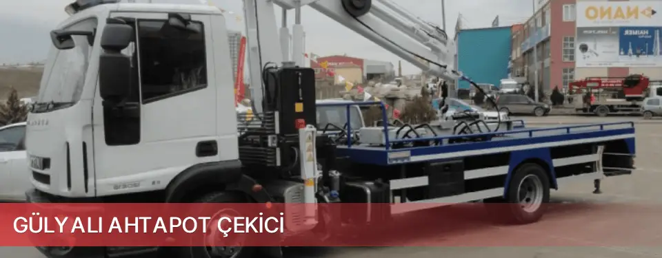 Gülyalı İlçemi Ahtapot Çekici
