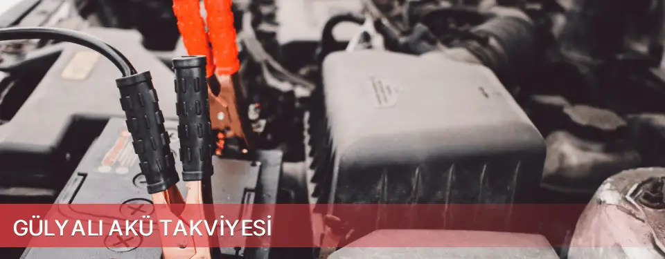 Gülyalı İlçemi Akü Takviyesi