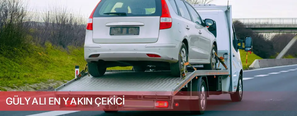 Gülyalı İlçemi En Yakın Çekici