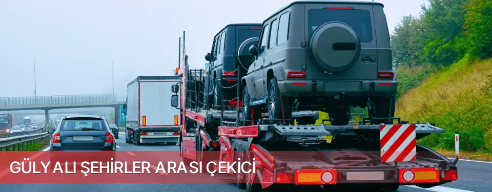 Gülyalı İlçemi Şehirler Arası Çekici